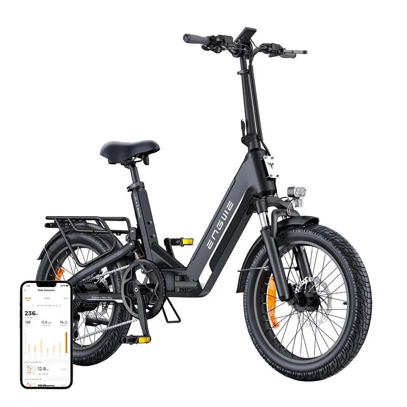 ENGWE L20 3.0 BOOST 250W 20" Electric Bike (Black)